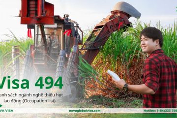visa 494