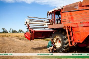 visa nông nghiệp 403 úc (1)