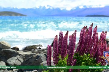 4 mùa new zealand mùa xuân 76845