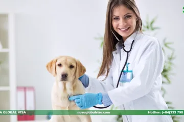 ngành nghề có cơ hội định cư cao ở Úc