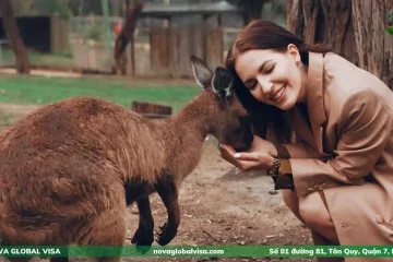 Chi phí phương tiện di chuyển tại Úc